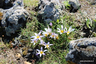 Grotta della Neve